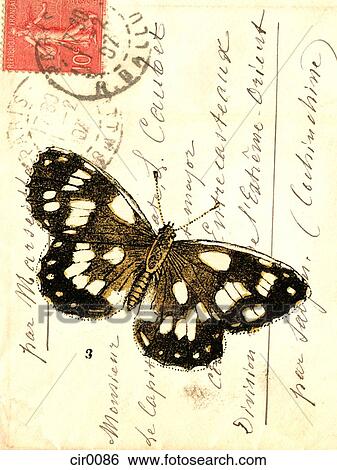 Stock Illustration - An old envelope with stamps from France, handwriting, and a butterfly. Fotosearch