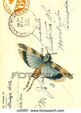 Clip Art - An old envelope with stamps from USA, handwriting and a moth. Fotosearch