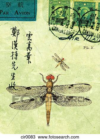 An old letter with stamps, Chinese characters, and dragonflies View Large Illustration Drawing - An old letter with stamps, Chinese characters, and dragonflies. Fotosearch