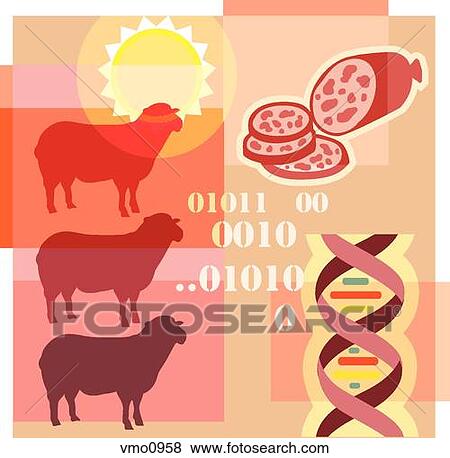Stock Illustration - Montage illustration about cloning containing sheep, binary code, DNA and genetically modified meat products. Fotosearch
