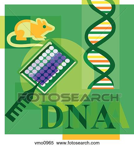Montage illustration about DNA research containing a mouse, DNA, and scientific testing View Large Illustration Stock Illustration - Montage illustration about DNA research containing a mouse, DNA, and scientific testing. Fotosearch