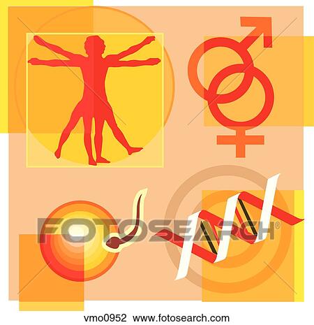Montage illustration about gene therapy and engineering containing a vitruvian man, male and female symbols, DNA, and sperm fertilizing an egg View Large Illustration Drawing - Montage illustration about gene therapy and engineering containing a vitruvian man, male and female symbols, DNA, and sperm fertilizing an egg. Fotosearch