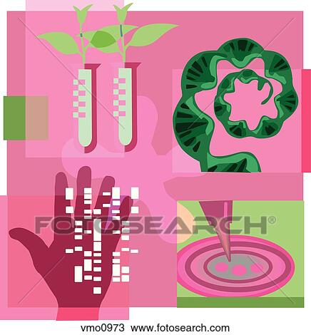 Montage illustration about genetic engineering containing a hand, plants, test tubes, DNA View Large Illustration Drawing - Montage illustration about genetic engineering containing a hand, plants, test tubes, DNA. Fotosearch