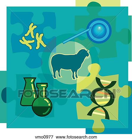 Montage illustration about genetic engineering containing chromosomes, DNA, chemicals, a sheep, and cloning View Large Illustration Stock Illustration - Montage illustration about genetic engineering containing chromosomes, DNA, chemicals, a sheep, and cloning. Fotosearch