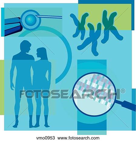 Drawing - Montage illustration about in-vitro fertilization containing an egg, a couple, DNA and chromosomes. Fotosearch