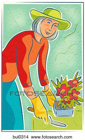 Stock Illustration - An elderly woman potting flowers. Fotosearch