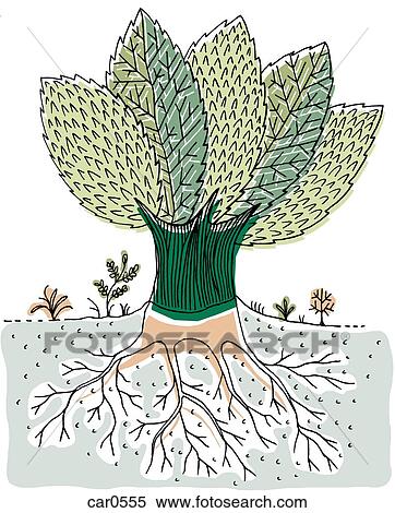 A large tree with roots growing into the earth View Large Illustration Stock Illustration - A large tree with roots growing into the earth. Fotosearch