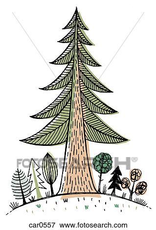 Un, grande, árbol de secuoya, dominar, más pequeño, árboles Colección