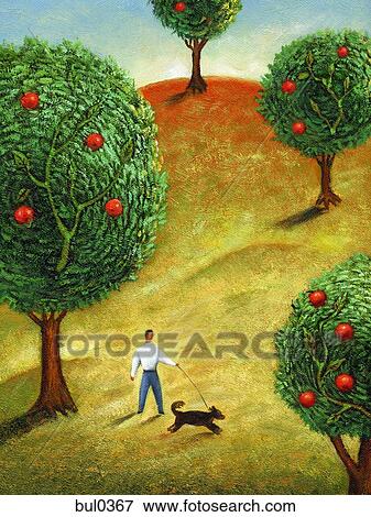 Stock Illustration - A man walking his dog in an apple orchard. Fotosearch