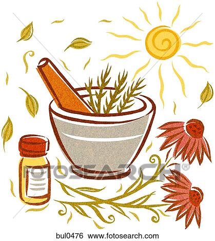 Stock Illustration - Echinacea and natural herbs in a mortar and pestle. Fotosearch