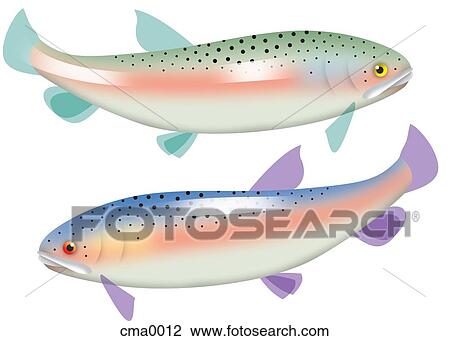 Pisces View Large Illustration Drawing - Pisces. Fotosearch