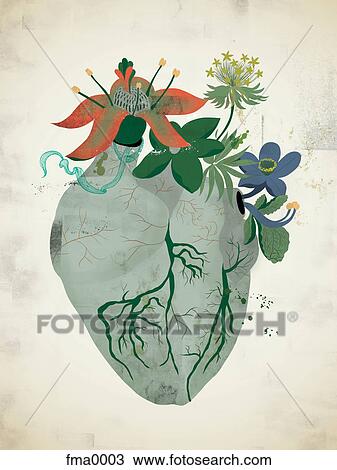 A gray heart with flowers growing out of it View Large Illustration Drawing - A gray heart with flowers growing out of it. Fotosearch