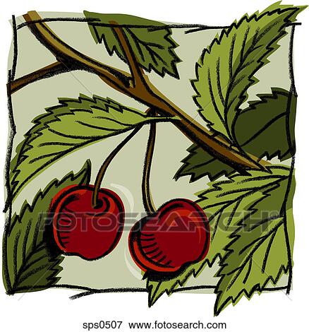 Stock Illustration - A drawing of ripe cherries hanging from the tree. Fotosearch