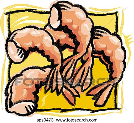 A illustration of prawns View Large Illustration Drawing - A illustration of prawns. Fotosearch