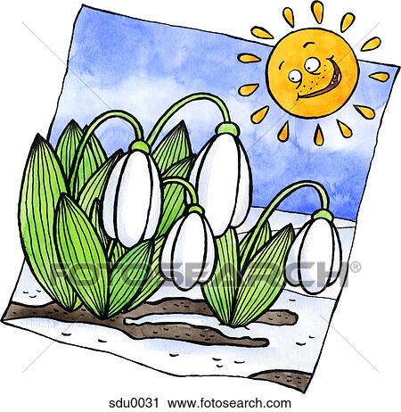 Clip Art - The sun shining on newly sprung crocus flowers. Fotosearch