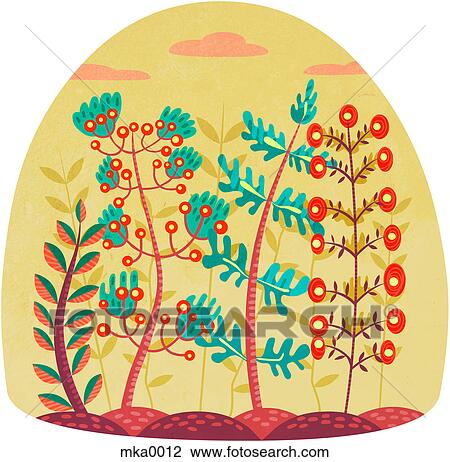Drawing - Different types of plants growing beside each other. Fotosearch