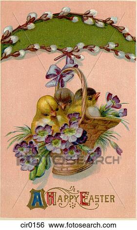 Stock Illustration - A vintage Easter postcard of a basket full of chicks and violets hanging from a pussy willow branch. Fotosearch