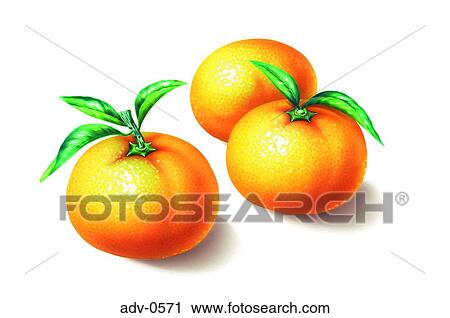 Clip Art - . Fotosearch