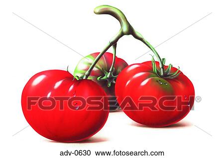Clipart - . Fotosearch