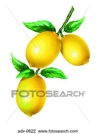 Drawing - . Fotosearch
