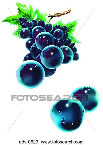 Drawing - . Fotosearch
