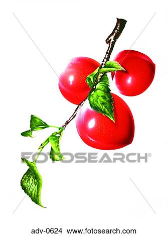 Stock Illustration - . Fotosearch