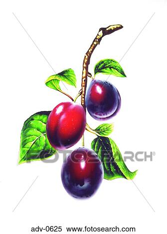 View Large Illustration Stock Illustration - . Fotosearch