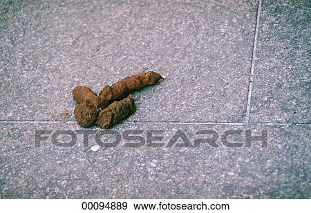 Stock Photograph - Juniors, animal, animals, dirt, dog. Fotosearch - Search Stock Photography, Posters, Pictures, and Photo Clipart Images