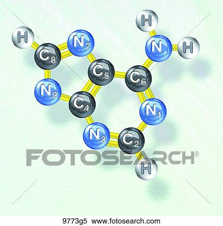 Adenine Molecular Structure Unlabeled View Large Illustration Stock Illustration - Adenine Molecular Structure Unlabeled. Fotosearch