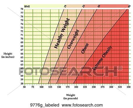 BMI Chart (General) Labeled View Large Illustration Clip Art - BMI Chart (General) Labeled. Fotosearch