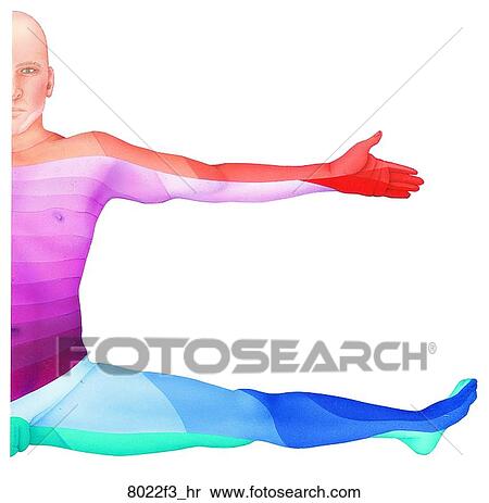 Stock Illustration - Dermatomes Development Around Axial Line Unlabeled. Fotosearch