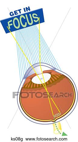 Drawing - How eyes get in focus.. Fotosearch