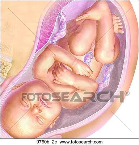 Clip Art - Icon for Pregnancy Unlabeled. Fotosearch