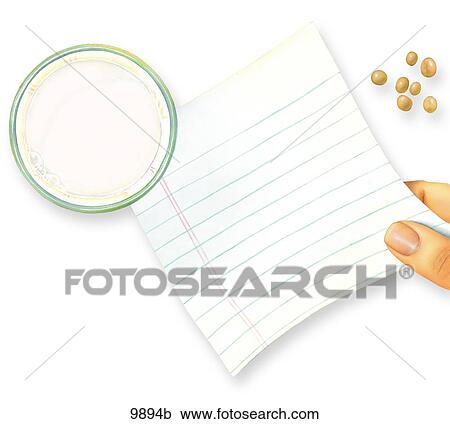List of Main Sources of Vegetable Protein Unlabeled View Large Illustration Clipart - List of Main Sources of Vegetable Protein Unlabeled. Fotosearch