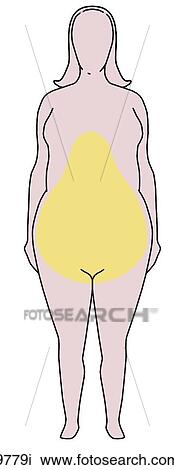 Pear Shaped Fat Distribution Unlabeled View Large Illustration Drawing - Pear Shaped Fat Distribution Unlabeled. Fotosearch
