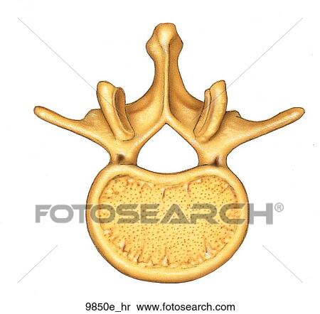 Get Ueberlegen symbol Desktop Wallpaper Free