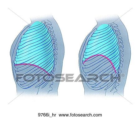 Ventilation Unlabeled View Large Illustration Stock Illustration - Ventilation Unlabeled. Fotosearch