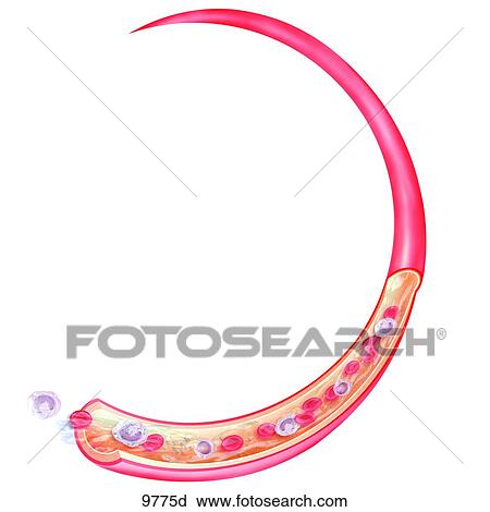 Clip Art - Viral Spread Via the Blood Unlabeled. Fotosearch