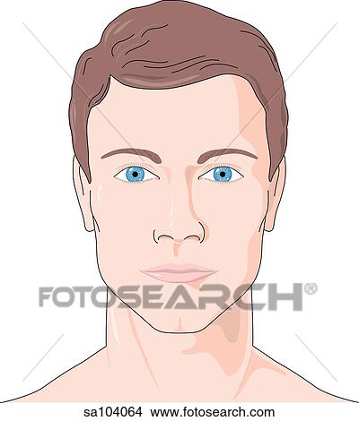 Anterior view of a male face. View Large Illustration Stock Illustration - Anterior view of a male face.. Fotosearch