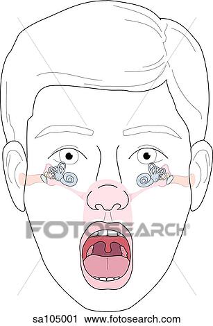 Clip Art - Anterior view of head and face of a boy with his mouth open; auditory tube, anatomical structures and pharynx have been made visible upon the external anatomy.. Fotosearch