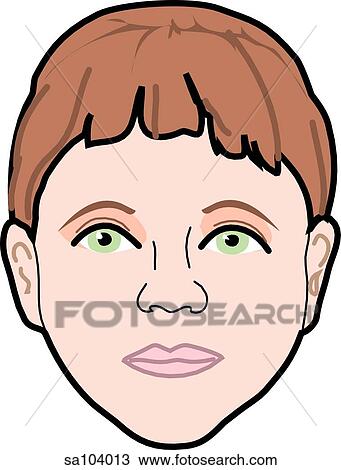 Drawing - Anterior view of the external anatomy of a child (head).. Fotosearch