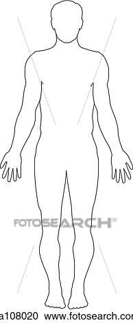 Anterior view of the major nerves of the body (outline of body). View Large Illustration Clipart - Anterior view of the major nerves of the body (outline of body).. Fotosearch