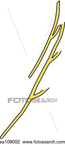 Anterior view of the nerves that make up the brachial plexus (branches of the ventral rami). View Large Illustration Drawing - Anterior view of the nerves that make up the brachial plexus (branches of the ventral rami).. Fotosearch