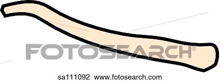 Anterior view of the skeletal anatomy of the body (right clavicle). View Large Illustration Drawing - Anterior view of the skeletal anatomy of the body (right clavicle).. Fotosearch
