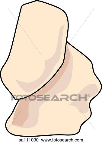 Dorsal view of the skeletal anatomy of the right foot (lateral cuneiform bone and cuboid bone). View Large Illustration Clipart - Dorsal view of the skeletal anatomy of the right foot (lateral cuneiform bone and cuboid bone).. Fotosearch