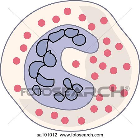 Eosinophil. View Large Illustration Drawing - Eosinophil.. Fotosearch
