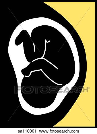 Clip Art - Graphic depiction of a baby in the womb.. Fotosearch