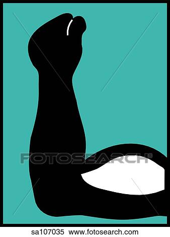 Stock Illustration - Graphic depiction of an arm with the biceps highlighted to represent muscles.. Fotosearch