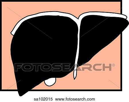 Stock Illustration - Graphic depiction of the liver.. Fotosearch