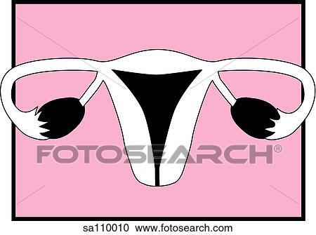 Graphic illustration of the uterus and follicles to represent the female reproductive system. View Large Illustration Clipart - Graphic illustration of the uterus and follicles to represent the female reproductive system.. Fotosearch